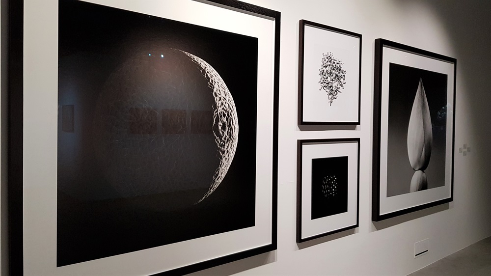 photos de jean baptiste huynh exposées au hanger bruxelles