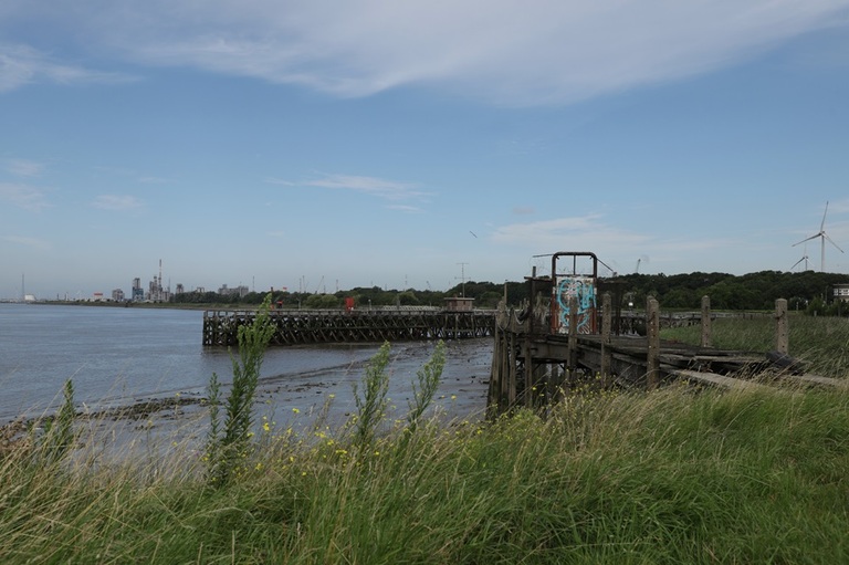 nature sauvage le long de l'escaut à anvers et usine en arrière plan
