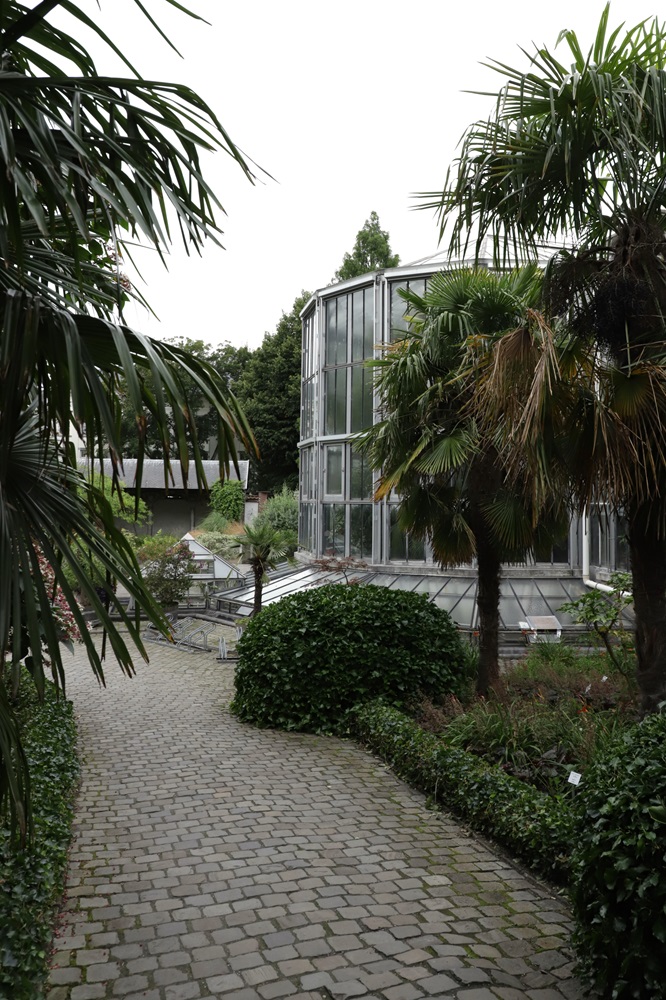 entrée jardin botanique anvers avec serre