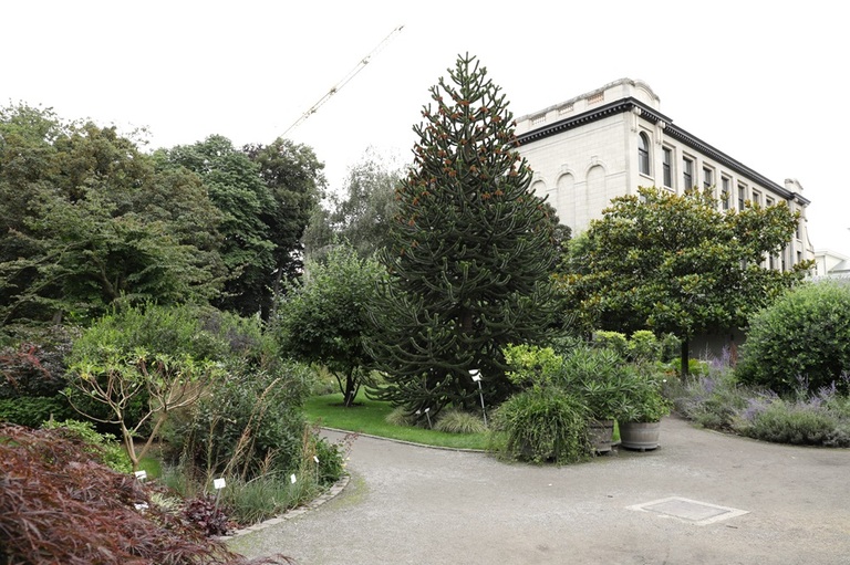vue sur jardin botanique anvers avec végétation