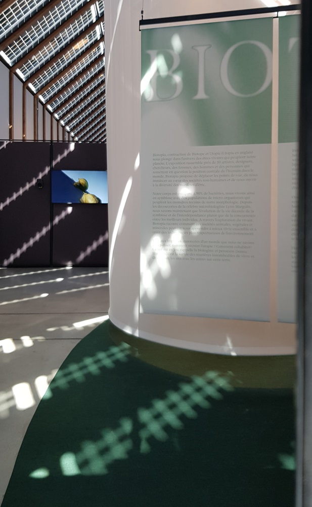 couloir entrée salle expo