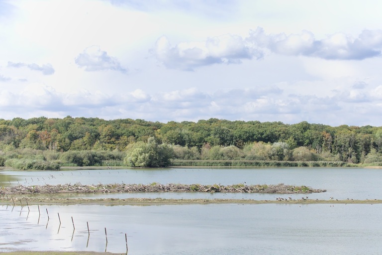 vue sur l'étang de virelles et le bois
