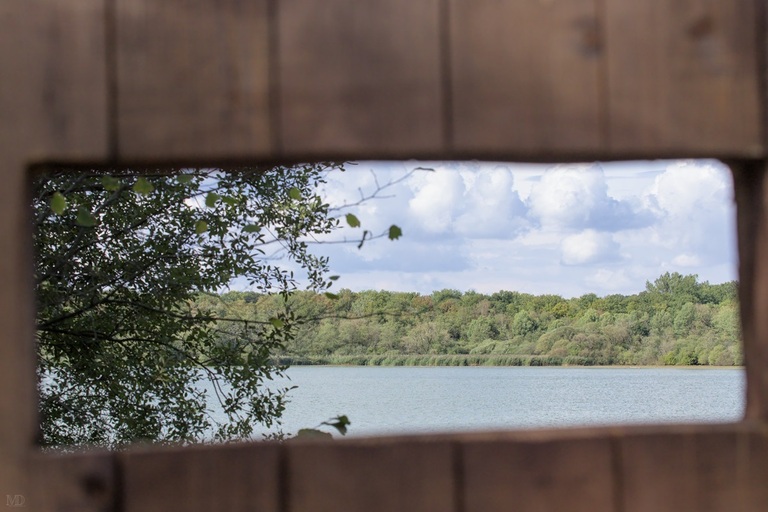 vue sur l'étang de virelles depuis un poste d'observation de l'aquascope