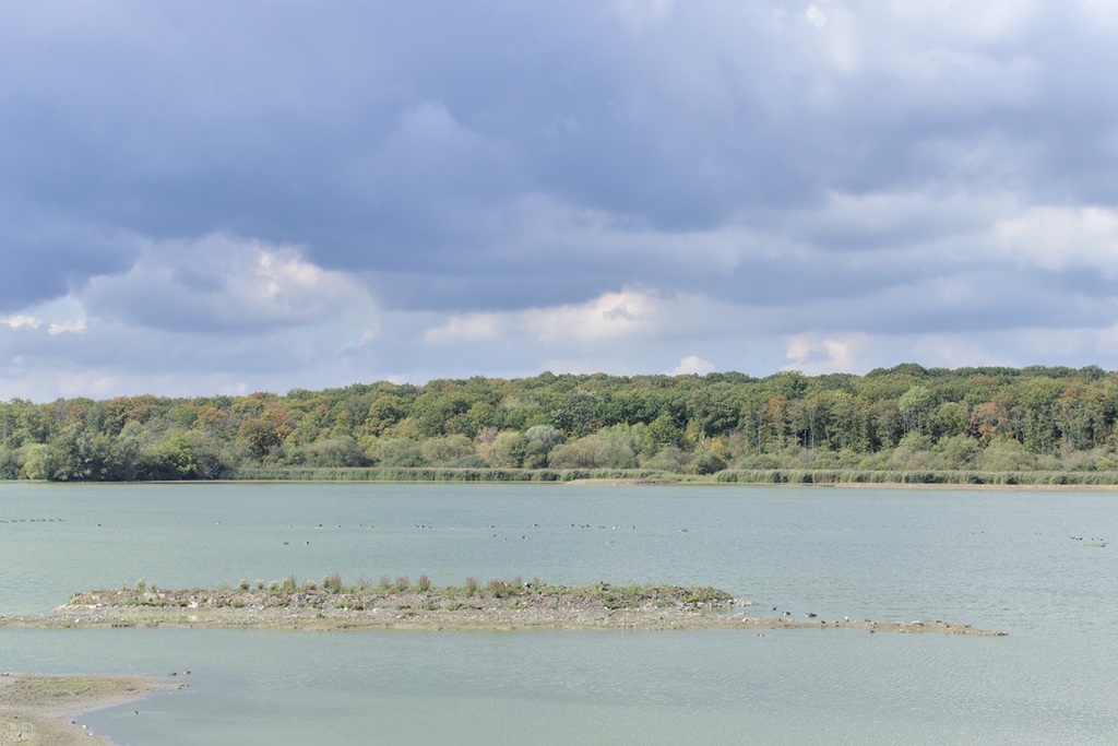 étang et bois de virelles avec ciel nuageux contrasté