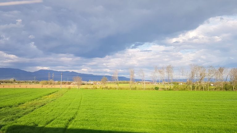 prairie ensoleillée et ciel contrasté avec nuages