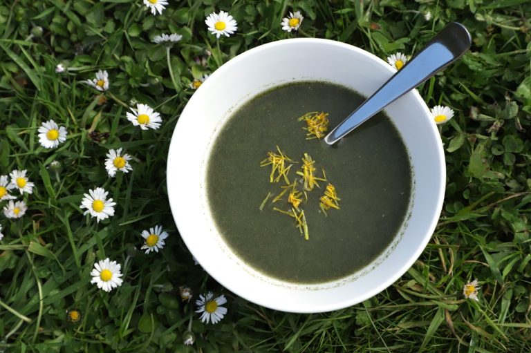 bol de soupe aux orties posé sur une pelouse fleurie