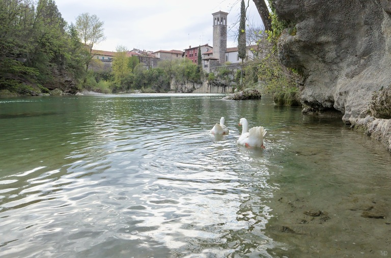 le long du natisone à cividale del friuli
