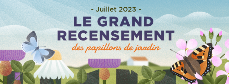Lire la suite à propos de l’article En juillet, on compte les papillons dans son jardin