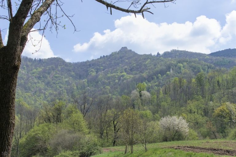 Lire la suite à propos de l’article Castelmonte, entre sanctuaire et paradis ornithologique