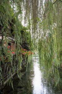 terrasse et saule pleureur au bord du canal à udine