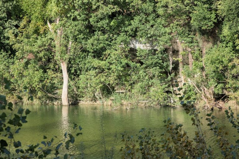 rivière avec arbres en arrière plan