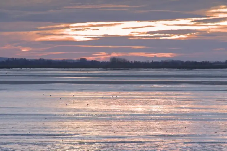 Lire la suite à propos de l’article Direction la Baie de Somme