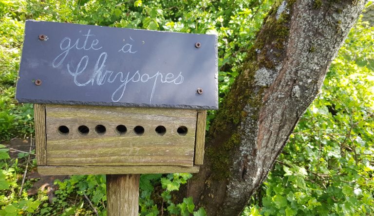 gîte à chrysopes dans jardin