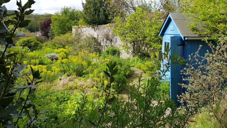 chalet bleu et jardin fleuri