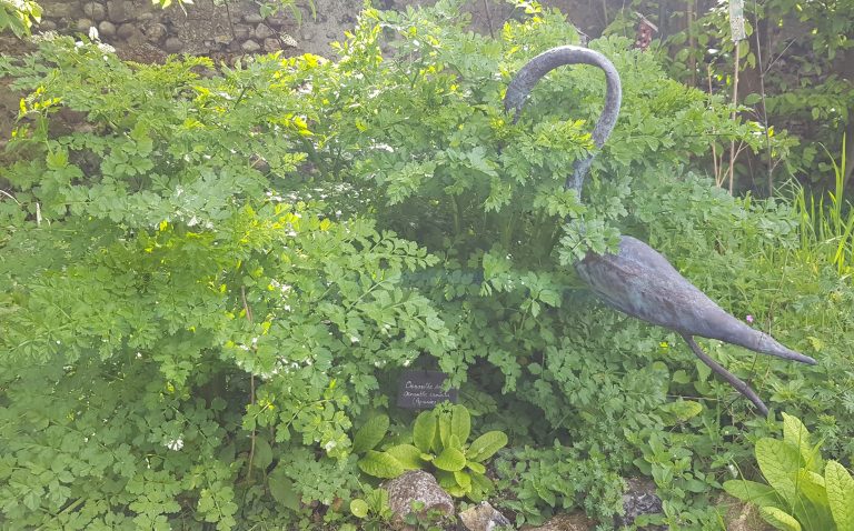statue oiseau avec arbuste vert