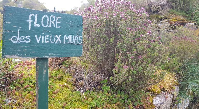 panneau en bois et fleurs